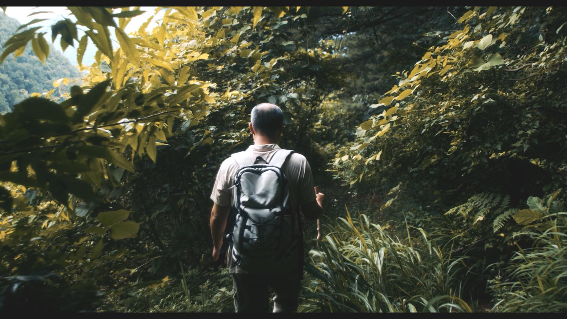 Evangelist Cho’s Impossible Mission to North Koreans