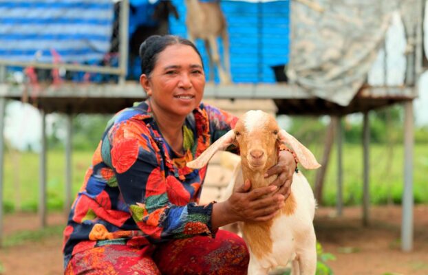Training Rural Cambodian Families to Earn a Living Selling Goats