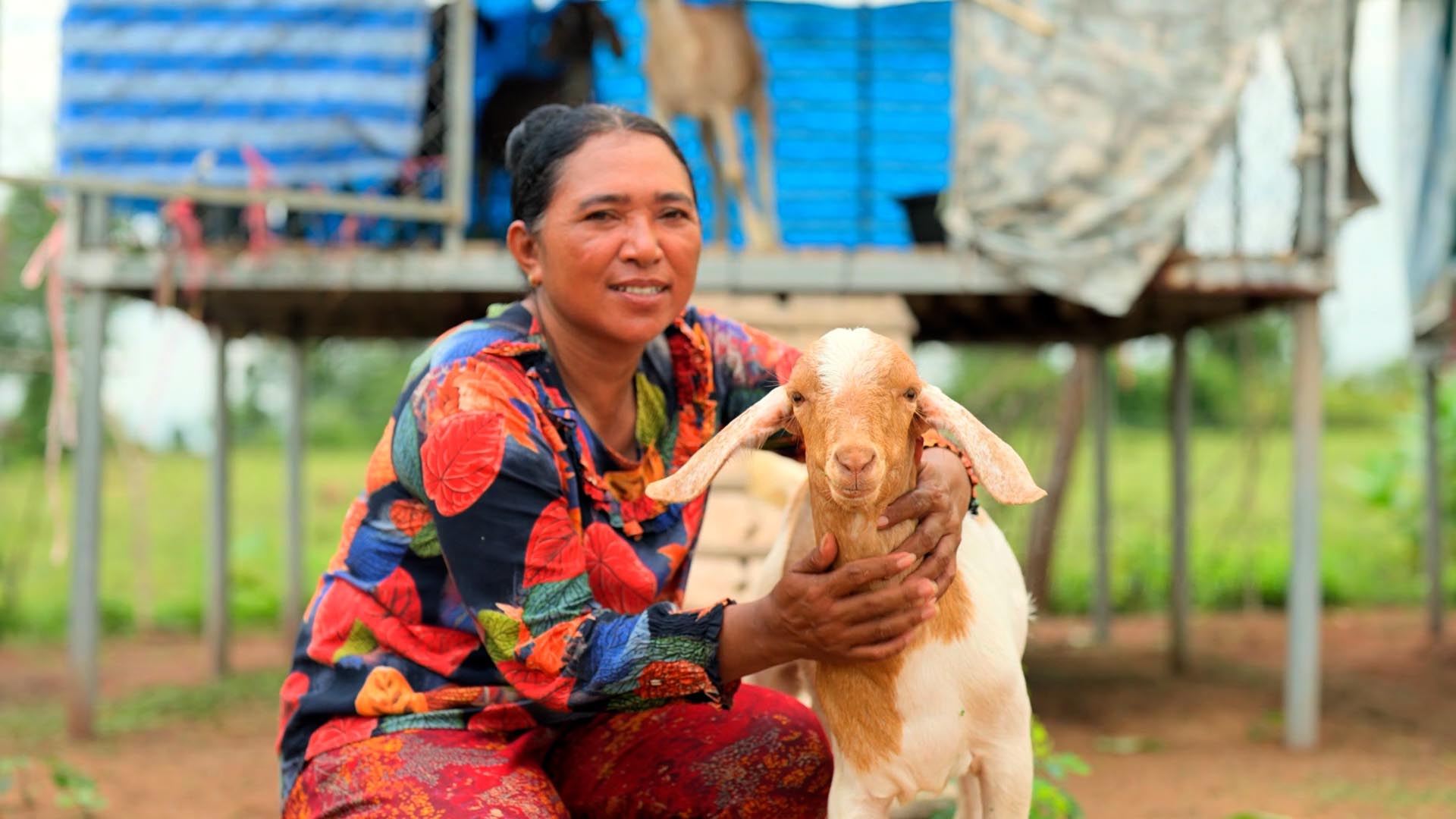Training Rural Cambodian Families to Earn a Living Selling Goats